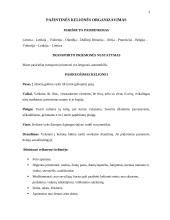 Pažintinės kelionės organizavimas 3 puslapis