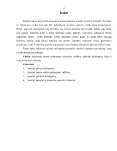 Pelnas ir pelningumas 2 puslapis