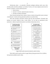 Pelnas ir pelningumas 11 puslapis