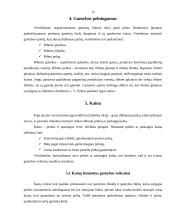 Pelnas ir pelningumas 12 puslapis