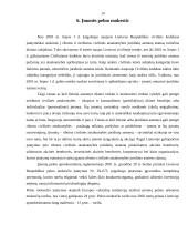 Pelnas ir pelningumas 14 puslapis