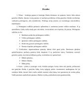 Pelnas ir pelningumas 17 puslapis