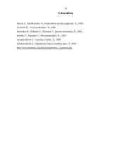 Pelnas ir pelningumas 18 puslapis