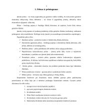 Pelnas ir pelningumas 3 puslapis