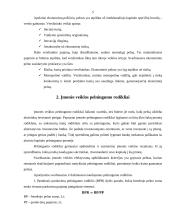 Pelnas ir pelningumas 5 puslapis