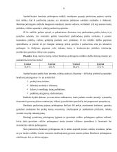 Pelnas ir pelningumas 6 puslapis