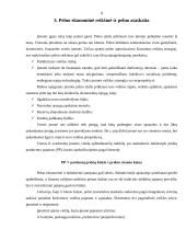 Pelnas ir pelningumas 8 puslapis