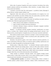 Pelnas ir pelningumas 9 puslapis