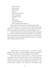 Pelno mokestis: UAB "Marijampolės rasa" 10 puslapis