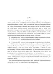 Pensijų fondai ir pensijų dalys 2 puslapis