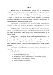 Pensijų reformos būtinumas, jos esmė ir poveikis žmonėms bei valstybei 2 puslapis