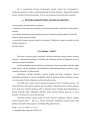 Pensijų reformos būtinumas, jos esmė ir poveikis žmonėms bei valstybei 6 puslapis