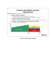 Pensijų reformos būtinumas, jos esmė ir poveikis žmonėms bei valstybei 10 puslapis