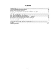 Pensijų sistemos reforma 2 puslapis