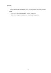 Pensijų sistemos reforma 13 puslapis