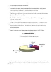 Personalas įmonėje: UAB "Langas" 6 puslapis