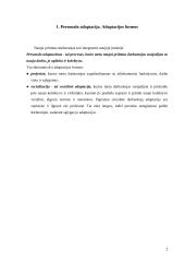 Personalo adaptacija 2 puslapis