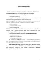 Personalo adaptacija 3 puslapis