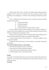 Personalo atrankos proceso analizė 10 puslapis