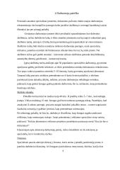 Personalo paieška. Su personalo paieška susijusios problemos 3 puslapis