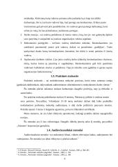 Personalo ugdymo sistemos organizavimas įmonėse 4 puslapis