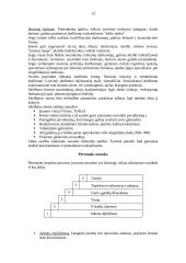 Personalinė vadyba 11 puslapis