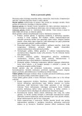 Personalinė vadyba 3 puslapis