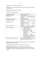 Personalinė vadyba 9 puslapis