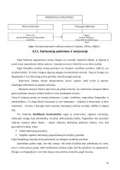 Personalo (darbuotojų) vadyba 17 puslapis