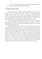 Personalo vadyba, jos esmė, turinys ir principai 20 puslapis