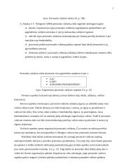 Personalo vadyba, jos esmė, turinys ir principai 7 puslapis