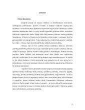 Komanda ir komandinis darbas 2 puslapis