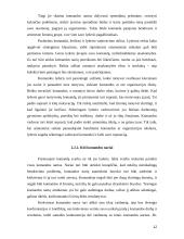 Komanda ir komandinis darbas 17 puslapis