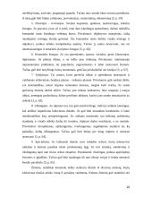 Komanda ir komandinis darbas 19 puslapis