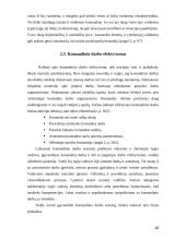 Komanda ir komandinis darbas 20 puslapis