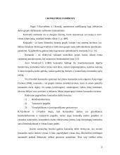 Komanda ir komandinis darbas 3 puslapis