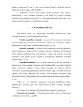 Komanda ir komandinis darbas 6 puslapis