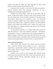 Komanda ir komandinis darbas 10 puslapis