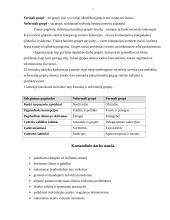Personalo organizavimas bei valdymas 7 puslapis
