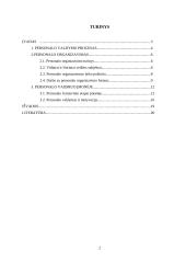Personalo valdymo proceso analizė 2 puslapis
