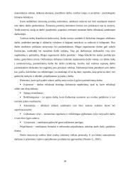 Personalo valdymo proceso analizė 18 puslapis