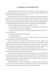 Personalo valdymo proceso analizė 4 puslapis