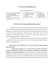 Personalo vertinimas: "Klaipėdos" viešbutis 5 puslapis