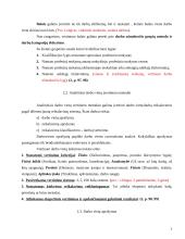 Personalo vertinimas: "Klaipėdos" viešbutis 7 puslapis