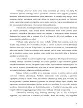 Personalo vertinimas: "Klaipėdos" viešbutis 10 puslapis