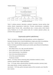 Personalo vertinimo (atestavimo) sistema "Mexx" parduotuvėje 11 puslapis