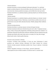 Personalo vertinimo (atestavimo) sistema "Mexx" parduotuvėje 13 puslapis