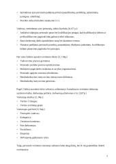 Personalo vertinimo (atestavimo) sistema "Mexx" parduotuvėje 5 puslapis