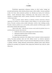 Personalo vertinimo (atestavimo) sistema: UAB "Baltika Lietuva" 2 puslapis