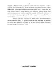 Personalo vertinimo (atestavimo) sistema: UAB "Baltika Lietuva" 12 puslapis